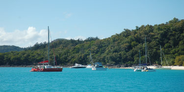 Boats anchored in a bay in the Whitsunday Islands