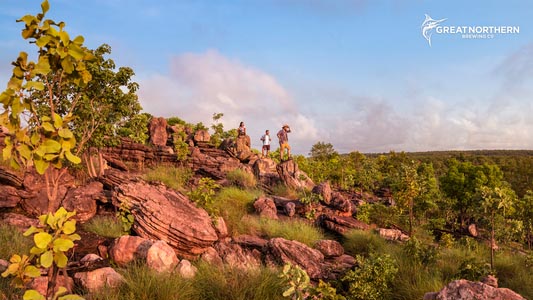 Great Northern Beer Co Desktop Background 2 for Virtual Meetings