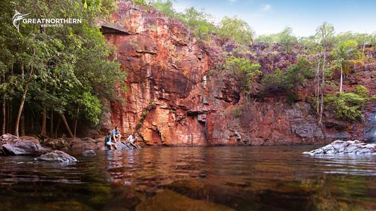 Great Northern Beer Co Desktop Background 5 for Virtual Meetings